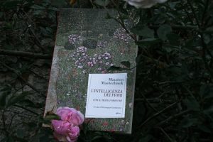 libro l'intelligenza dei fiori Maeterlinck