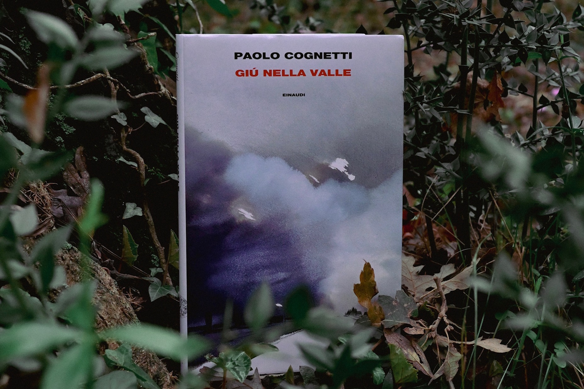 giù nella valle Paolo Cognetti